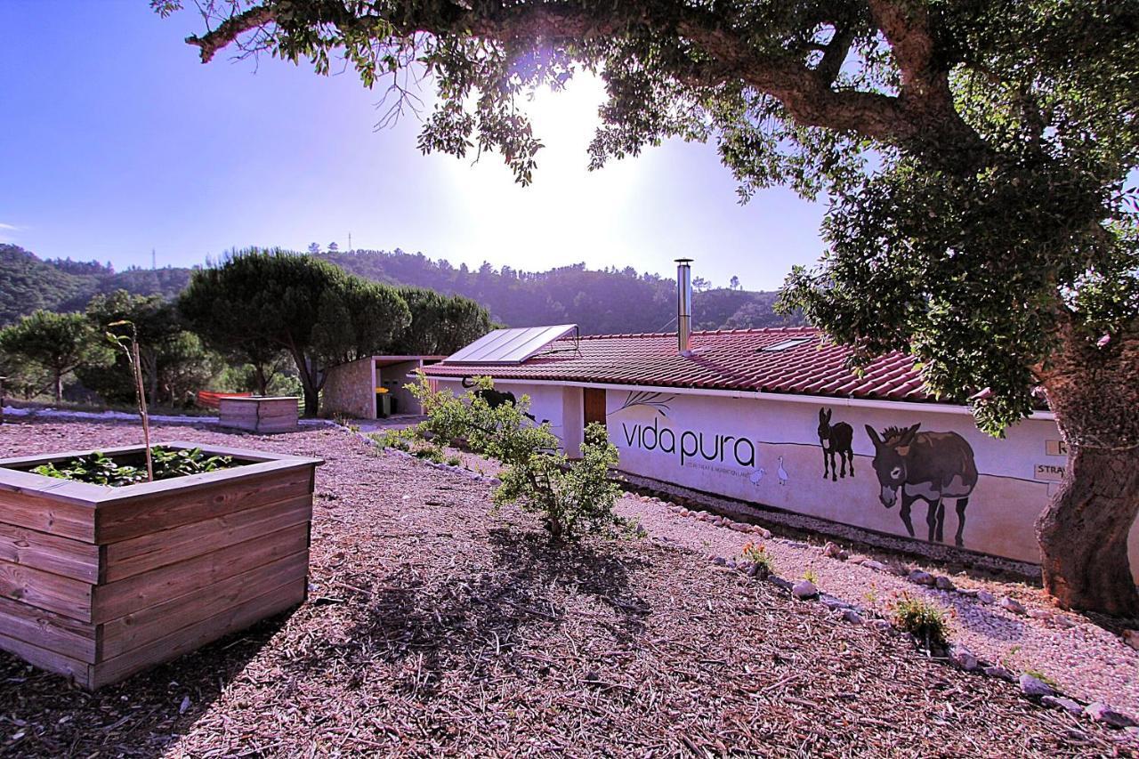 Vida Pura Guesthouse Odeceixe Bagian luar foto